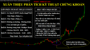 KHÓA HỌC PHÂN TÍCH KỸ THUẬT CHỨNG KHOÁN THỰC CHIẾN