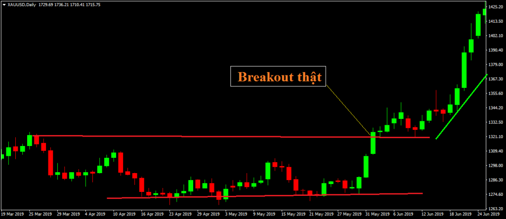 hoc-forex