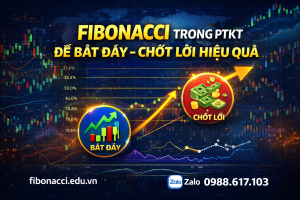FIBONACCI LÀ GÌ? ỨNG DỤNG TRONG PTKT ĐỂ BẮT ĐÁY – CHỐT LỜI HIỆU QUẢ