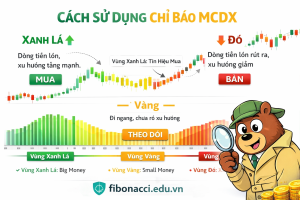 Cách sử dụng chỉ báo MCDX trong đầu tư