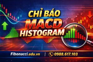 MACD Histogram là gì? Bí quyết xác định đỉnh đáy sớm bằng MACD Histogram